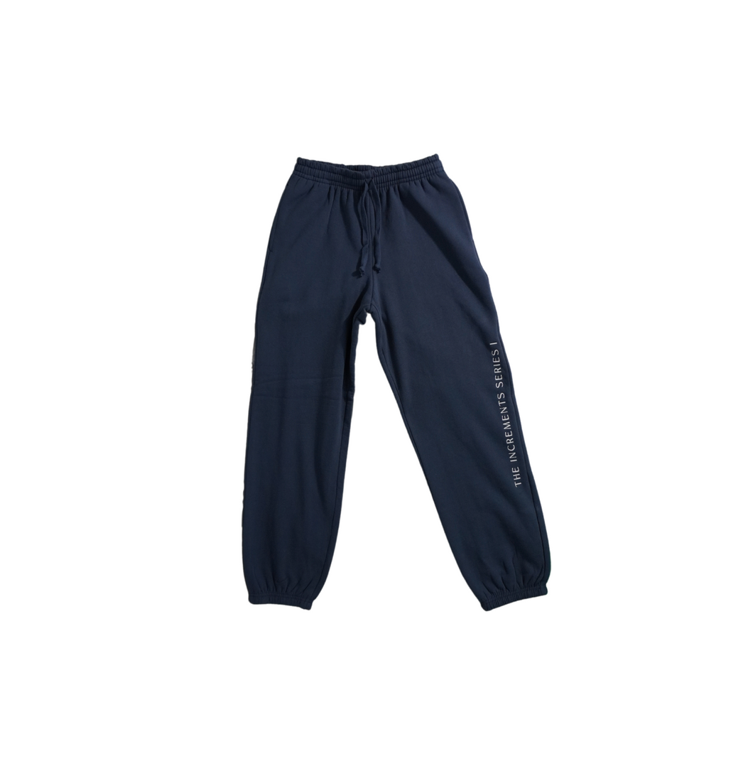 FC02 Navy Blue Joggers